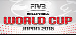 FIVB_SWC_Web_Banner_Comp Section_180x70px_AW
